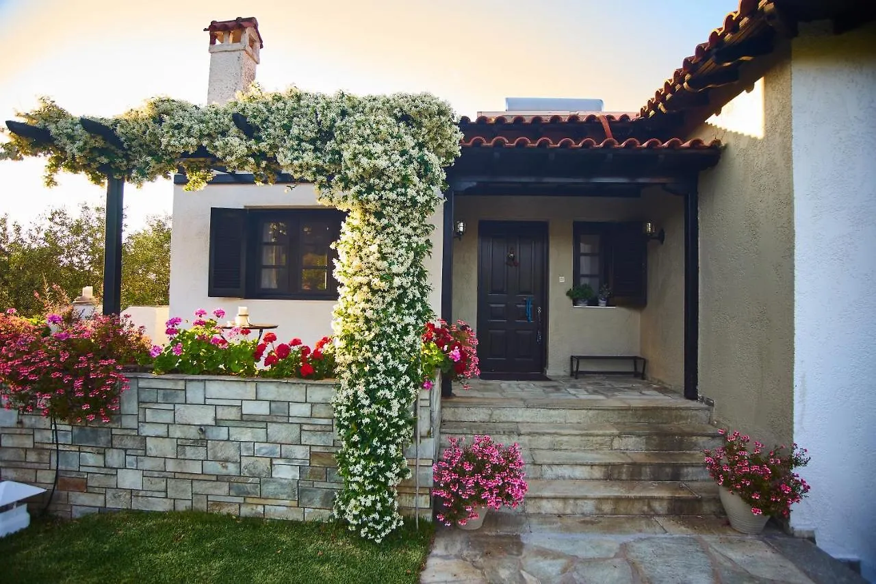 Villa The Cosy Olive Ormos Panagias 0*,