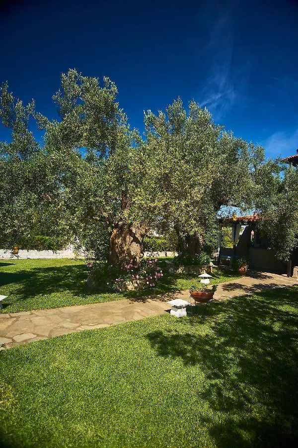 Villa The Cosy Olive Ormos Panagias Holiday home
