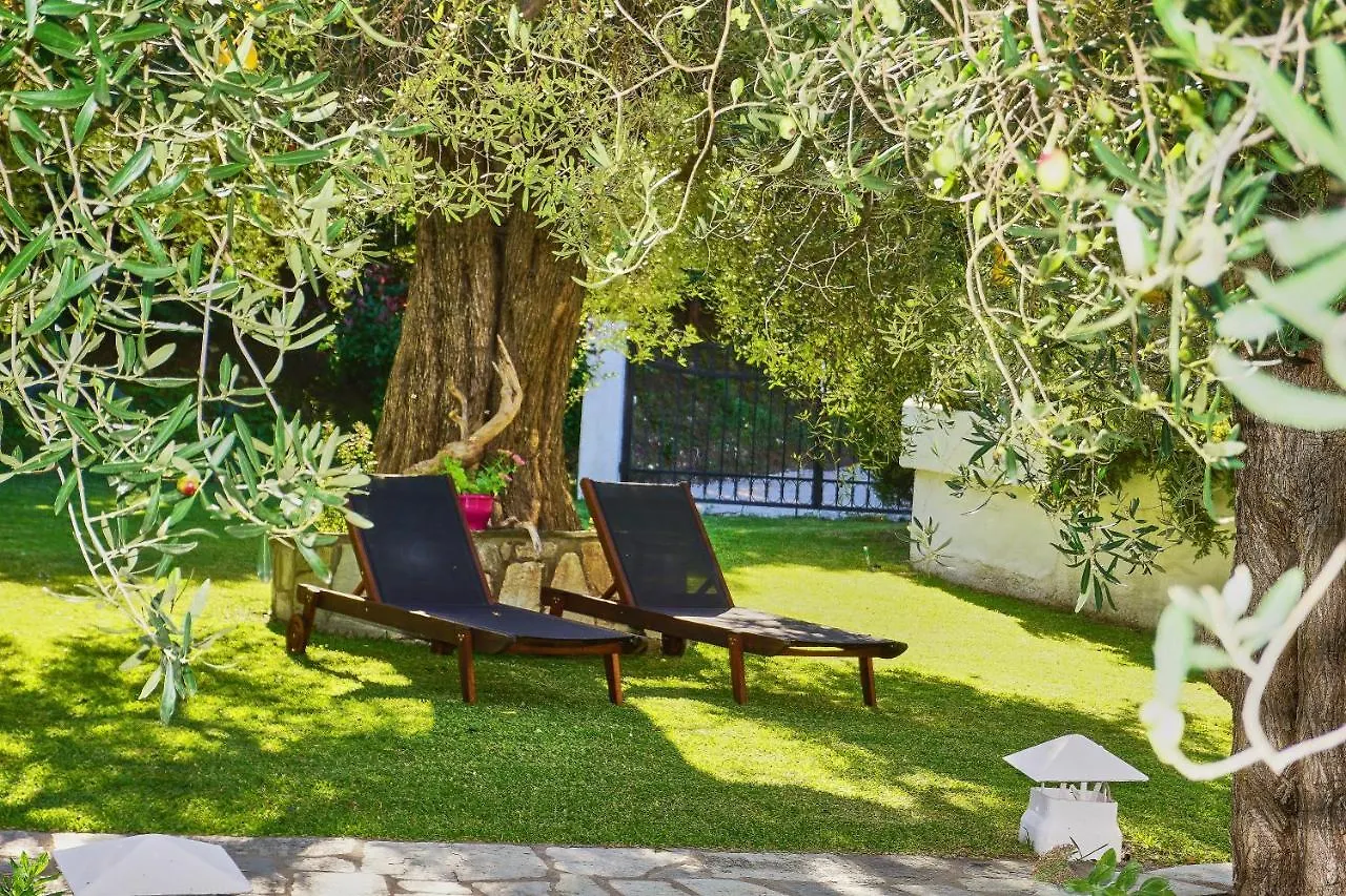 Villa The Cosy Olive Ormos Panagias Holiday home