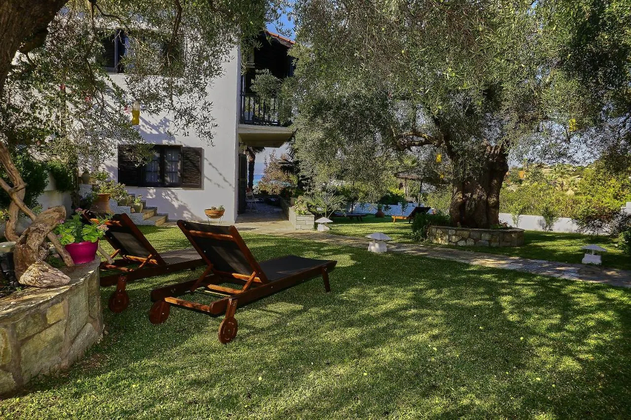 Villa The Cosy Olive Ormos Panagias Greece